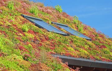 Freelands living roof systems